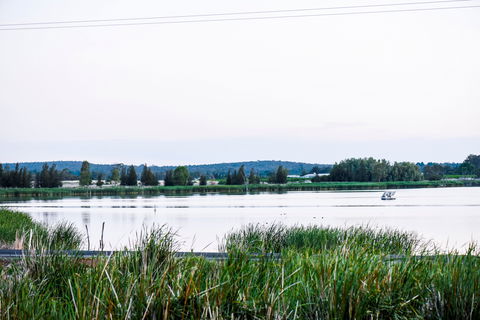 Lake Wyangan - South Australia Travel 2