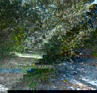 Lillypilly loop trail - South Australia Travel