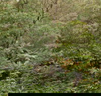 Lind National Park - South Australia Travel