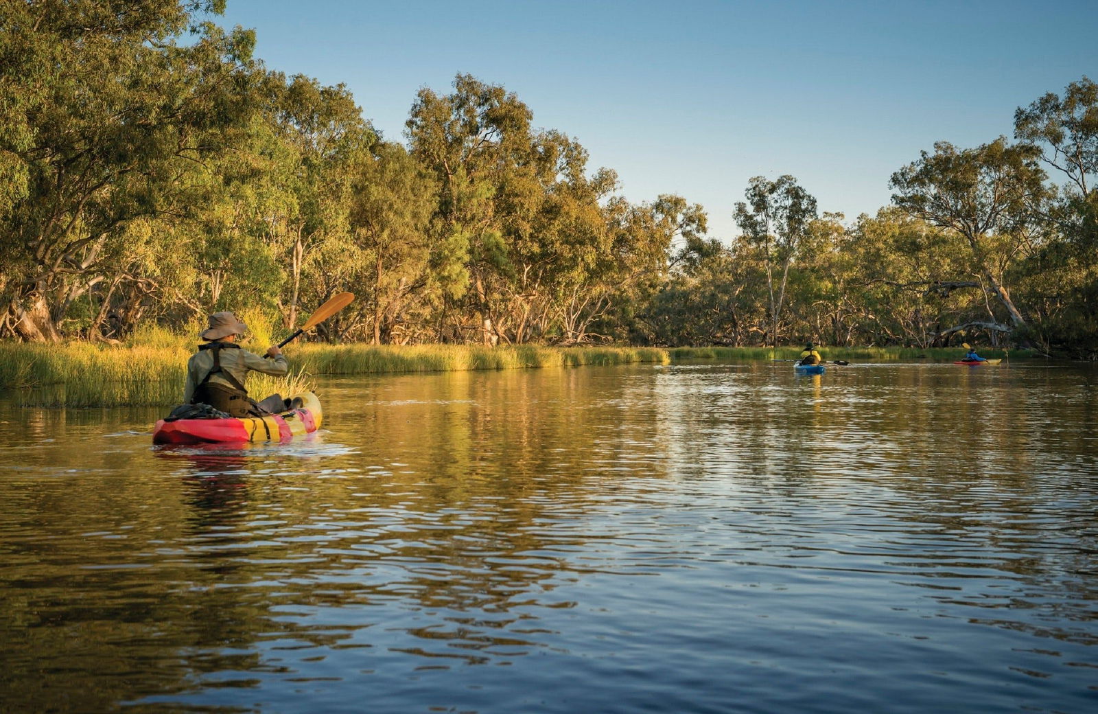 Macquarie Marshes NSW South Australia Travel