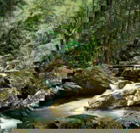 Maleny - South Australia Travel