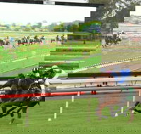 Manning Valley Race Club - South Australia Travel