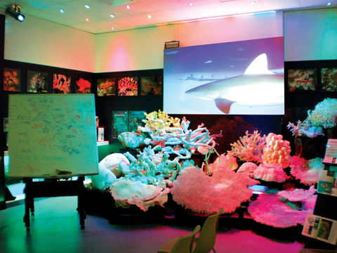 Marine Discovery Centre Hastings Point - South Australia Travel 0