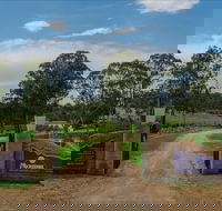 Moorebank Vineyard - South Australia Travel