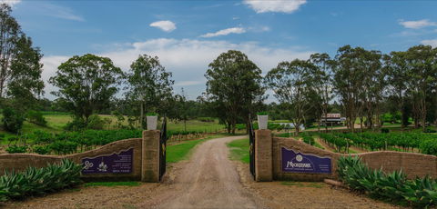 Moorebank Vineyard - South Australia Travel 0