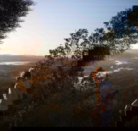 Mount Arthur Reserve - South Australia Travel