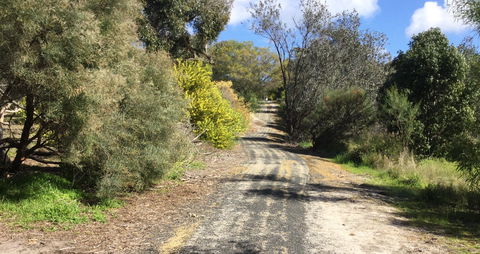 Naracoorte North Nature Park - South Australia Travel 0