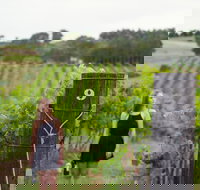 Naturally Luxurious - Great Beach Drive - South Australia Travel