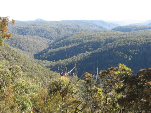 Nattai Gorge Lookout - South Australia Travel 1