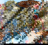 Next Level Monkey Business - South Australia Travel