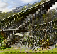Noojee Trestle Bridge - South Australia Travel