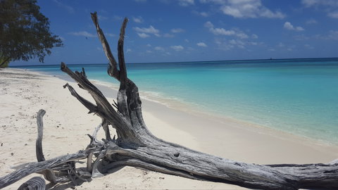 North West Island - South Australia Travel 0