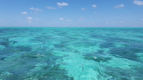 North West Island - South Australia Travel 1