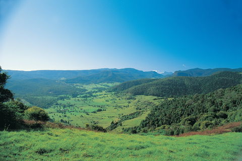 Numinbah Section, Springbrook National Park - South Australia Travel 0