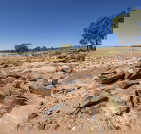 Peery Lake picnic area - South Australia Travel