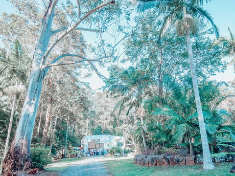 Phillips Gallery - South Australia Travel 0