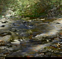 Plateau Circuit Loop Trail - South Australia Travel