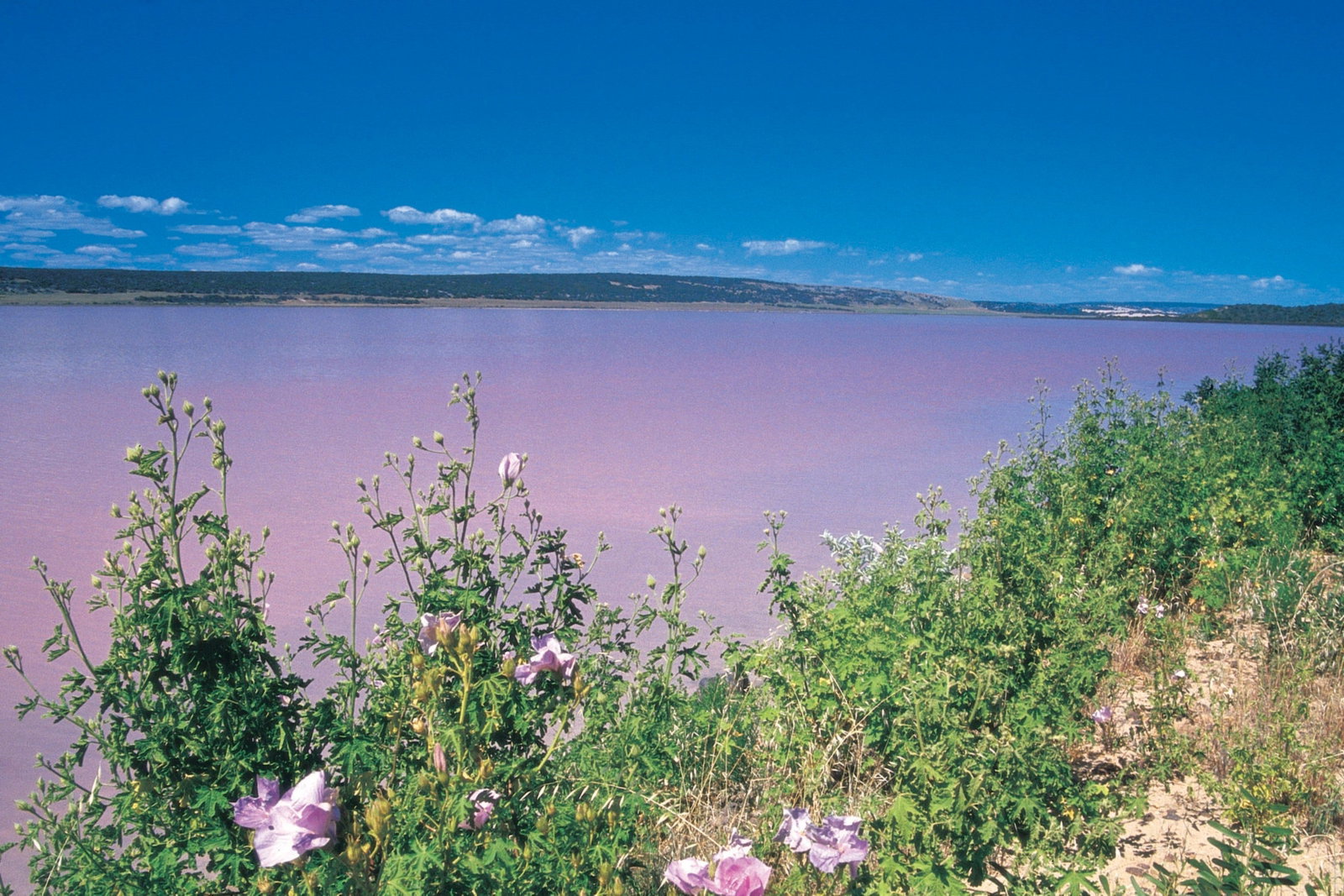 Gregory WA South Australia Travel