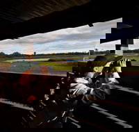 Reed Beds Bird Hide Boardwalk - South Australia Travel