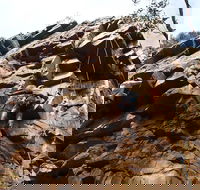 Rock Climbing in Morialta - South Australia Travel