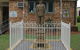 Soldier Statue Memorial, Chinchilla - thumb 0