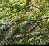 Tamborine Mountain - South Australia Travel