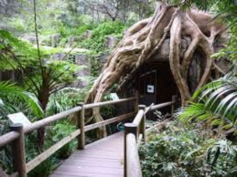 Tamborine Mountain Glow Worm Tours - South Australia Travel 2