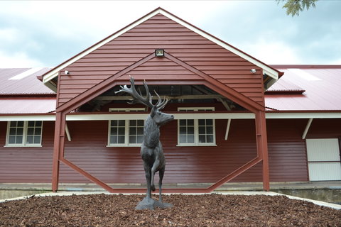 The Somerset Regional Art Gallery - The Condensery - South Australia Travel 1