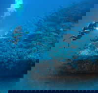 The Zanoni Wreck - South Australia Travel