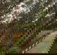 The Briars Park Walking Trails - South Australia Travel