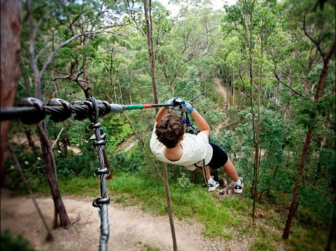 TreeTop Challenge - South Australia Travel 0