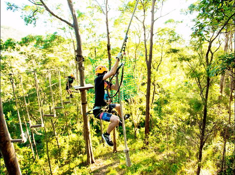 TreeTop Challenge - South Australia Travel 1