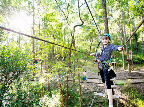 TreeTop Challenge - South Australia Travel 2