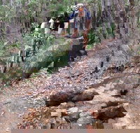 Turner Hill Mountain Bike Trail Murray - South Australia Travel