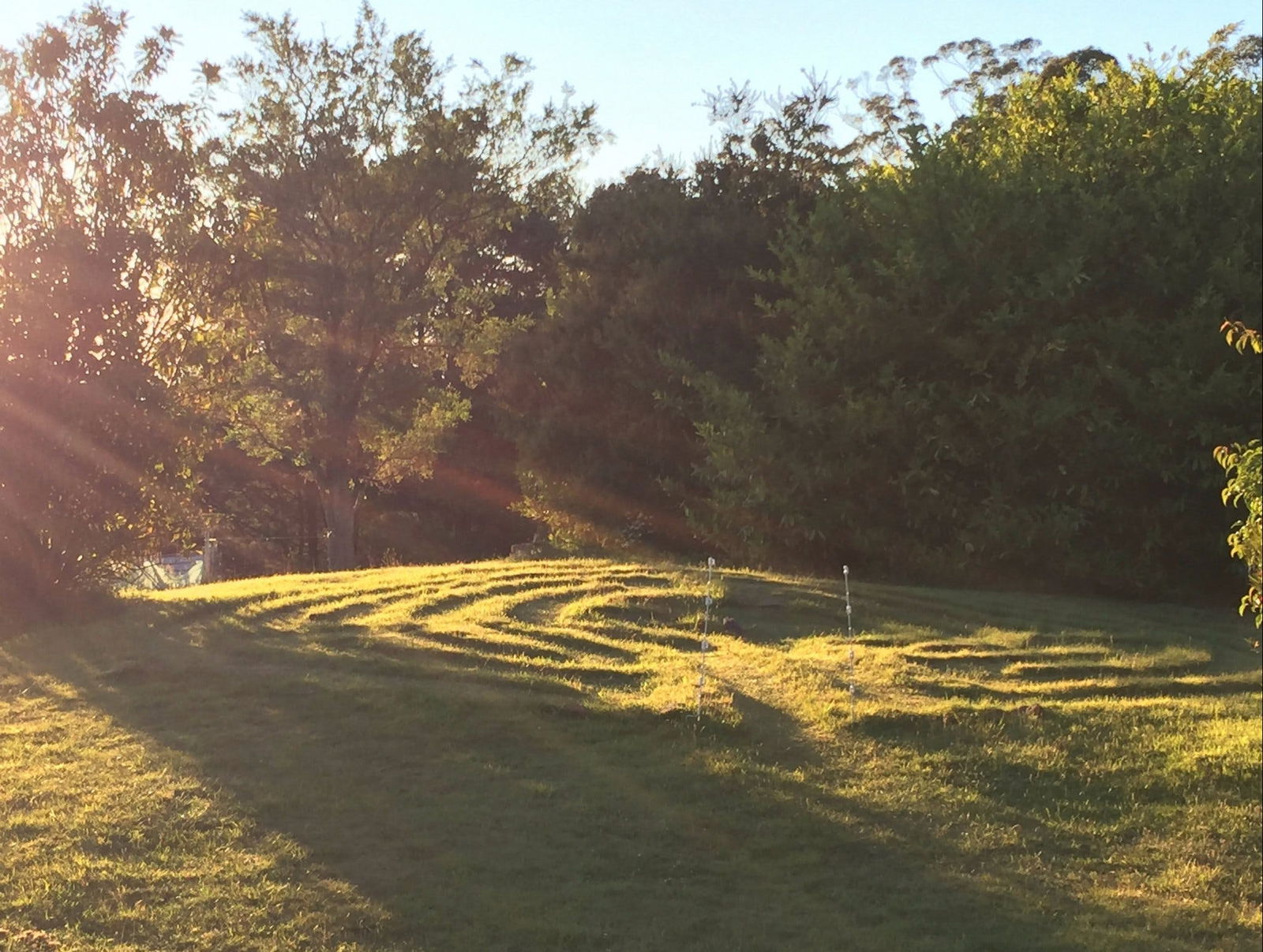 Gray TAS South Australia Travel