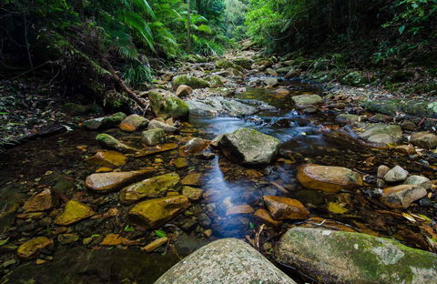 Willi Willi National Park - South Australia Travel 0