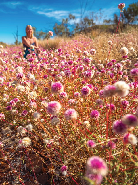 Wineries And Wildflowers - South Australia Travel 0