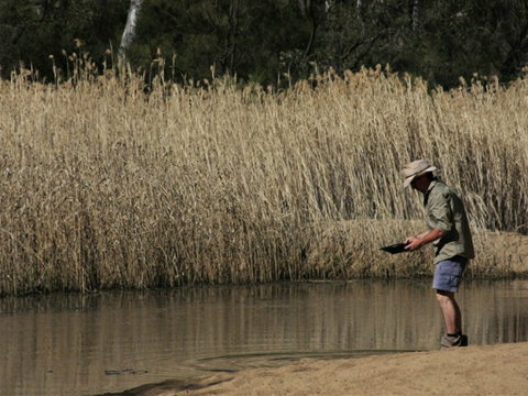Wooldridge Recreation And Fossicking Reserve - South Australia Travel 2