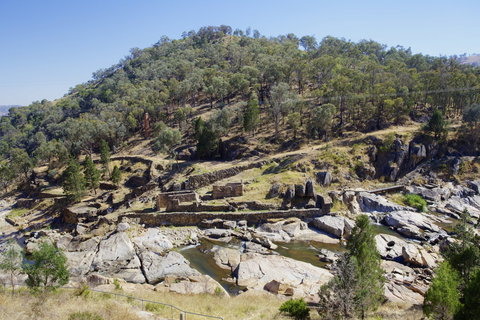 Adelong - South Australia Travel 1