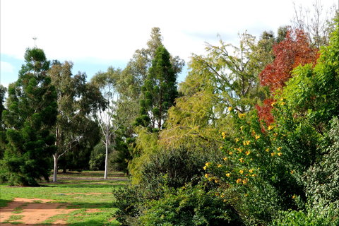 Australian Inland Botanic Gardens - South Australia Travel 2