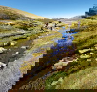 Australian Alps Walking Track - South Australia Travel