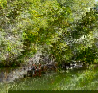 Berry Springs Nature Park - South Australia Travel