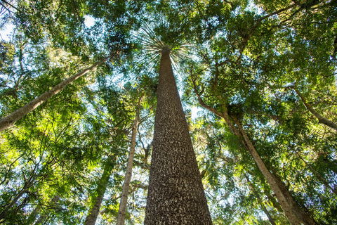 Big Sky National Parks - South Australia Travel 0