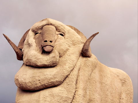 Big Merino - South Australia Travel 1