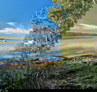 Black Oaks Picnic Area - South Australia Travel