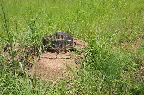 Brocks Creek Chinatown And Temple Site - South Australia Travel 0