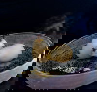 Bronwyn Clarke Ceramics - South Australia Travel