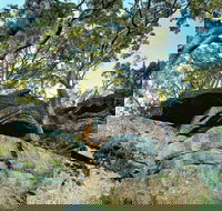 Burrawang Reach Picnic Area - South Australia Travel