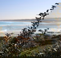 Cape Conran Coastal Park - South Australia Travel