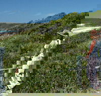 Conjola Beach Picnic Area - South Australia Travel